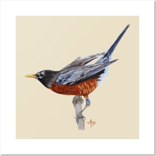 American Robin Posters and Art